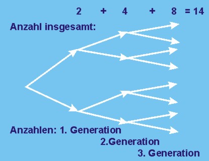 Kombinationsvielfalt Bei Frei Kombinierbaren Erbanlagen