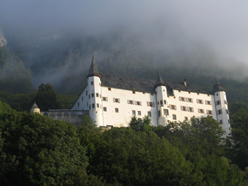 Beispiel für Schloss – Tratzberg  (Foto A. Prock)