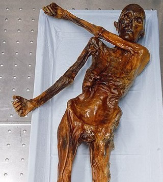 Ötzi (Archäologiemuseum Bozen)