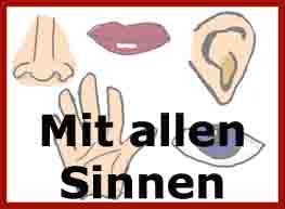 Mit allen Sinnen