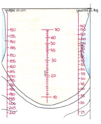 Body-Maß-Index