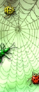 Netz 
