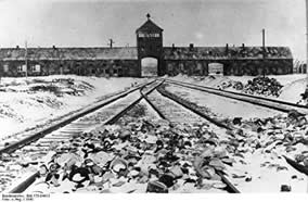 http://geschichtspuls.de/wp-content/uploads/2009/kz-auschwitz-einfahrt.jpg