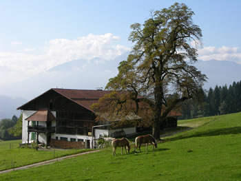 Bauernhof