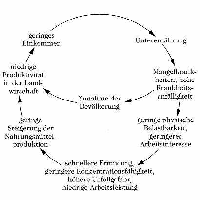 Ernährungssituation in den Entwicklungsländern