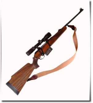 Gewehr