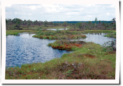 Lettland landschaft