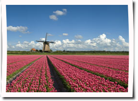 Windmühle Holland