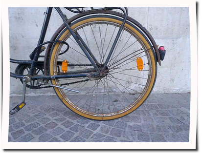 image (4)
