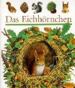 Das Eichhörnchen titelbild