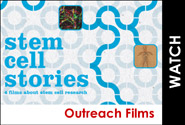 Stammzellgeschichte: Wissenschaft und Ethik
