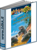 Der Schatz der letzten Drachen titelbild