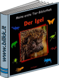 titelbild