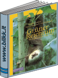 Grner Reichtum