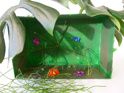 Mein Objekt ist auenrum mit Kreppapier und grner Farbe verziert. In dem Karton sind echte Pflanzen. Damit sie nicht austrocknen, habe ich sie durch Lcher gesteckt, so werden sie von der Innenseite mit Wasser versorgt.