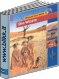 Die Wste