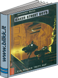 Die Baker street Boys titelbild