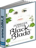 Black Blade das eisige Feuer der Magie + das dunkle Herz der Magie titelbild