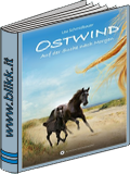 Ostwind: Auf der Suche nach morgen titelbild