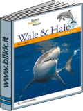 Wale & Haie titelbild