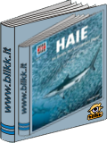 Haie- Im Reich der schnellen Jäger titelbild