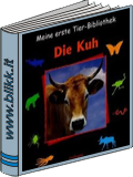 Die Kuh titelbild