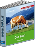 Die Kuh titelbild