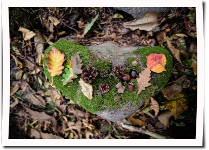 Landart_Herbst