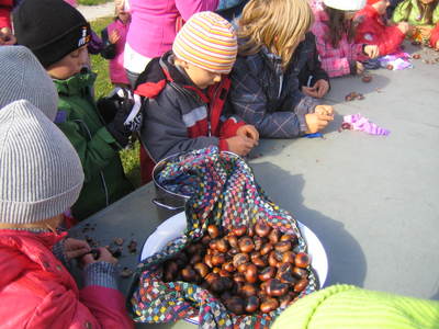 Kinder schlen die Kastanien
