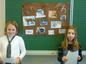 Fuchs und Reh