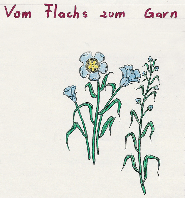 uploads/2749/flachspflanze.jpg