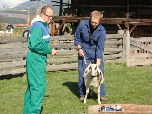 uploads/2805/j_zwei_maenner_mit_schaff.jpg