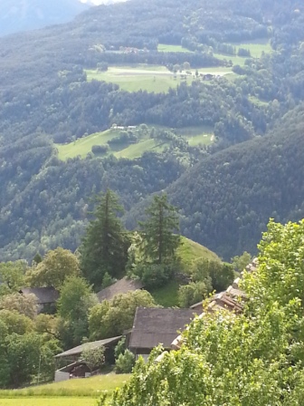 uploads/3905/pfleger_buehel.jpg