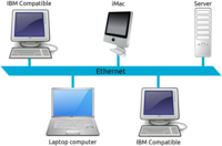LAN-Netzwerk