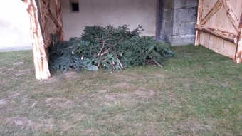 uploads/4677/20151218_145422.jpg