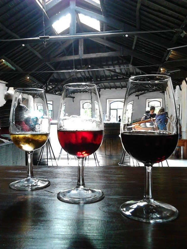 uploads/4722/vino.jpg
