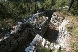 uploads/4727/nagia-grom-1-visitrovereto-650x433.jpg