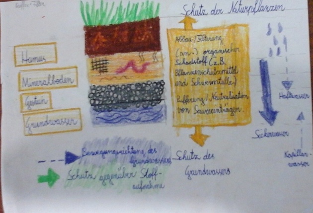 uploads/4827/puffer_und_filter.jpg