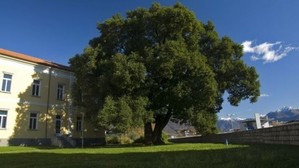 uploads/4962/7.jpg