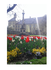uploads/5137/domplatz.png