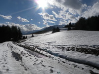 uploads/5765/sam_6190.jpg