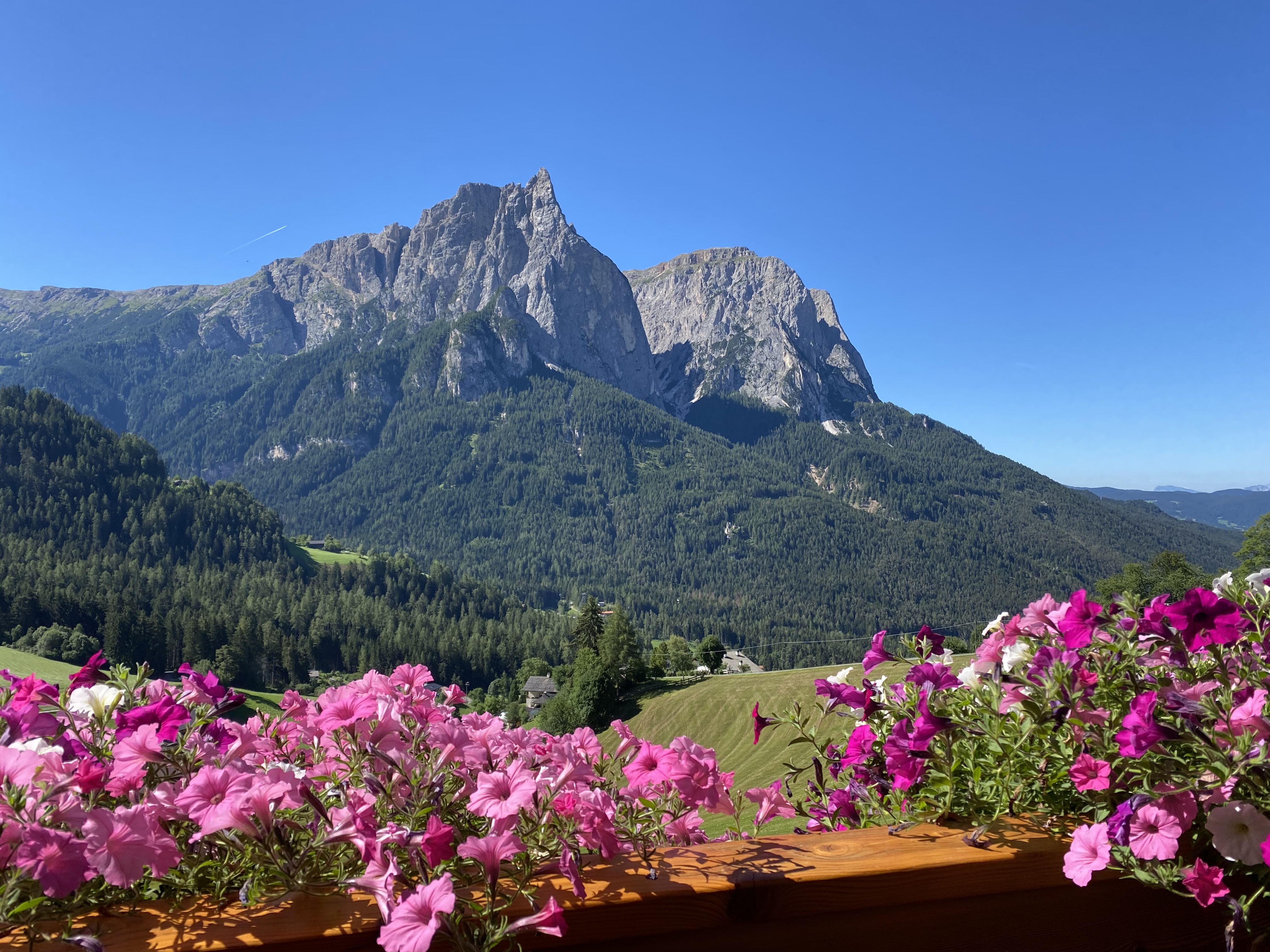 On the Alpe di Siusi