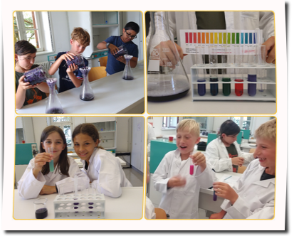 GridArt_20240710_070643424