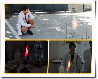 GridArt_20240711_162822127(1)