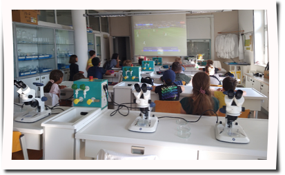 IMG_20240710_085958438