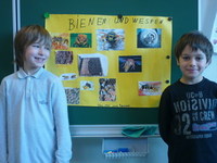 Bienen und Wespen im Winter