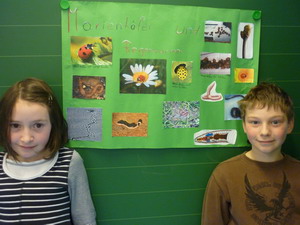 Marienkäfer und Regenwürmer