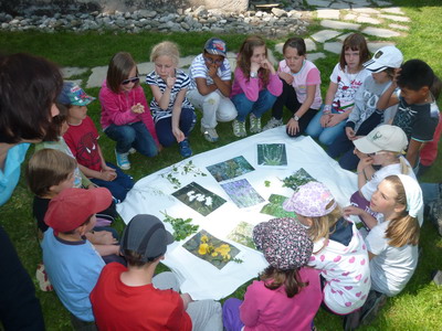 Wir lernen Heilkr&auml;uter kennen